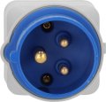 Caravan-Adapter CEE 3-polig 16A/230V IP20 CEE-Steckdose, IT-Kupplung universal (IT 10/16 A + DE 16A) - Produktansicht